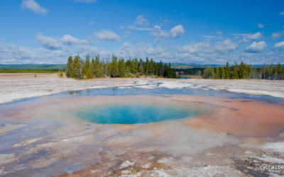 Yellowstone National Park