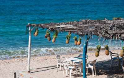 La côte Pacifique du Mexique